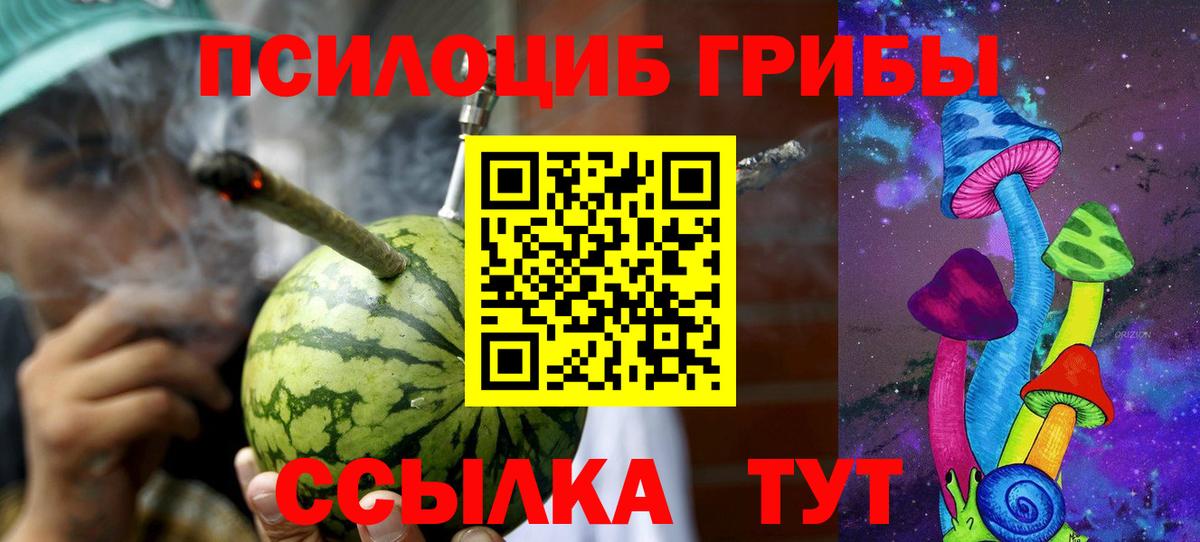 Курган  Псилоцибиновые грибы MAGIC MUSHROOMS  Вход с VPN 